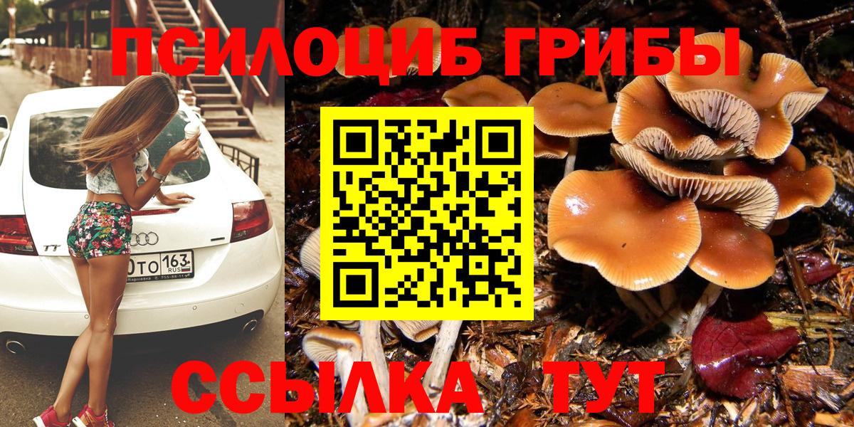 Галлюциногенные грибы Cubensis  продажа наркотиков  Карпинск  Вход с VPN 